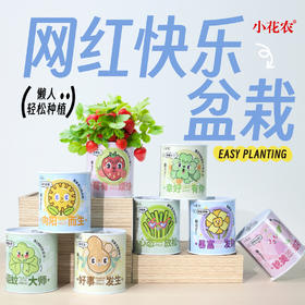 小花农网红快乐盆栽