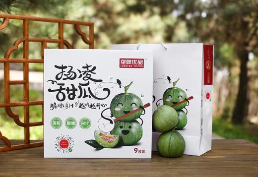 垄畔优品绿宝甜瓜 商品图6