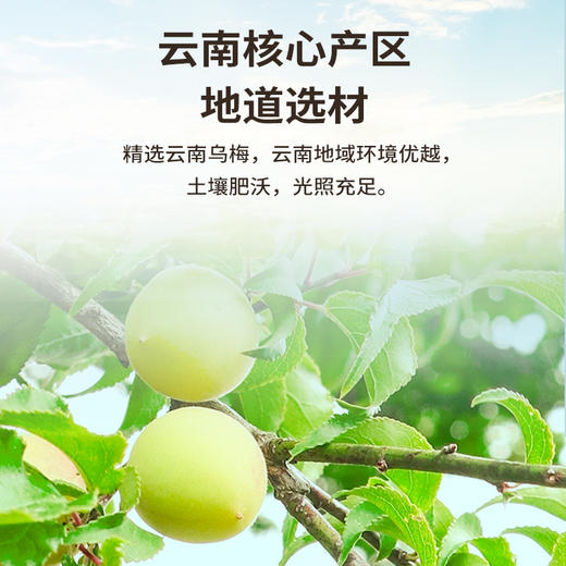 雷允上乌梅200g/瓶 商品图1