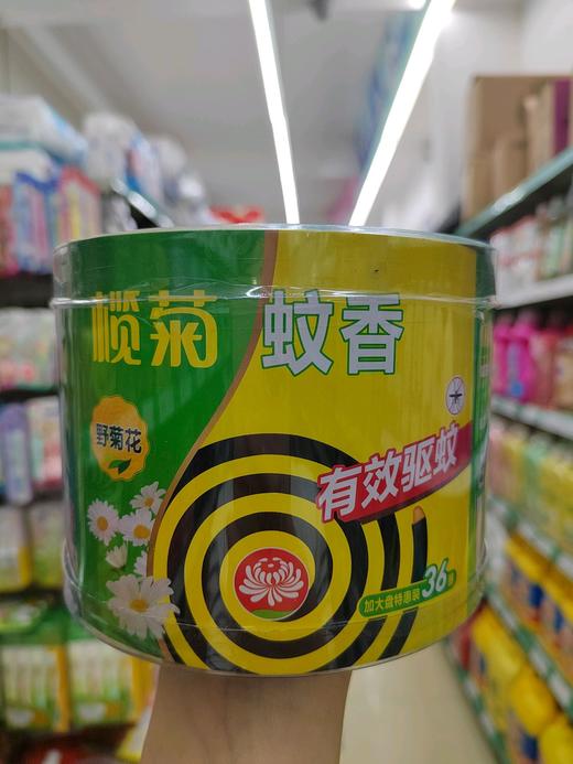榄菊蚊香野菊花36圈 商品图0