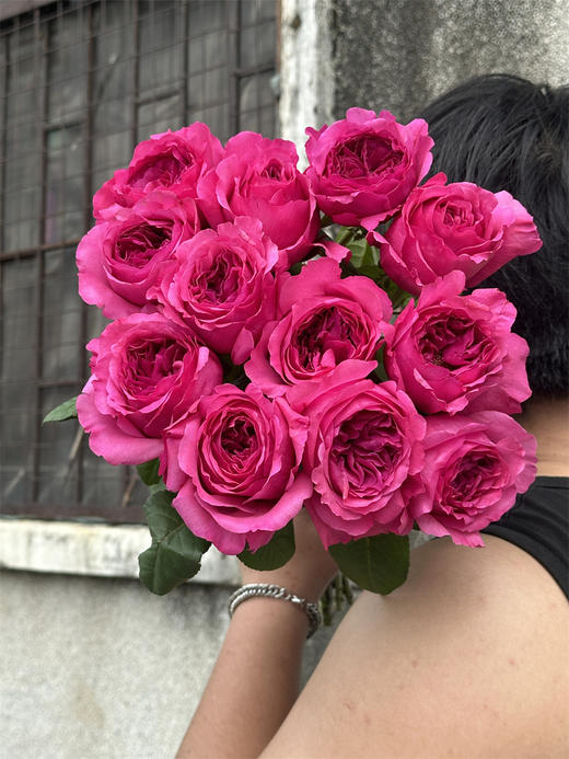 肯尼亚花园princes kishi基希公主 12支 商品图6