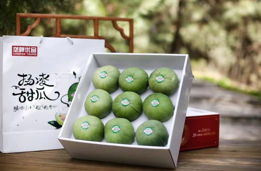 垄畔优品绿宝甜瓜 商品图4