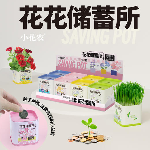 储钱罐盆栽 商品图1