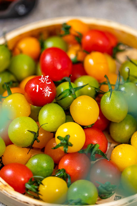 妮小番，彩虹三色小番茄 商品图5
