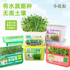 水培芽菜小盆栽 商品缩略图0
