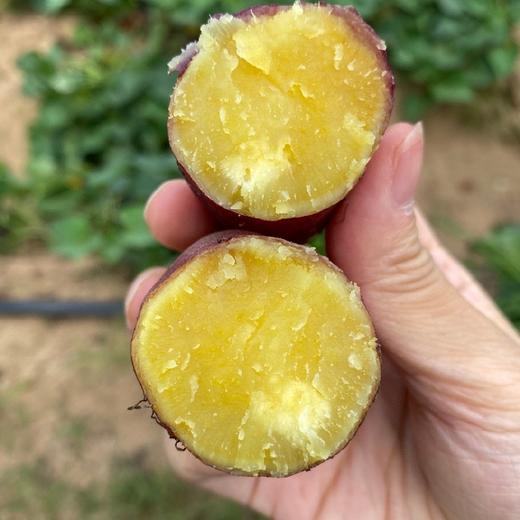 海南鸣门金时桥头地瓜 精品果 4.8斤装中小果（单果50g-125g） 商品图0