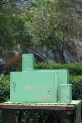 早春初采【浅绿.2听毛尖】17元1套.整箱20套