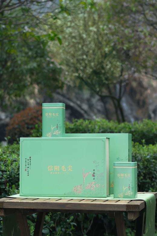 早春初采【浅绿.2听毛尖】17元1套.整箱20套 商品图0