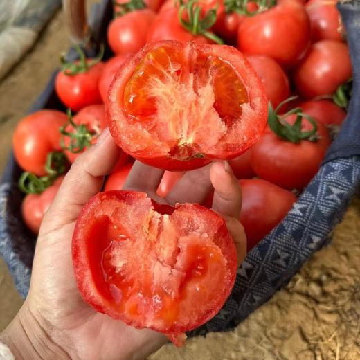 【顺丰快递】陕西泾阳沙瓤普罗旺斯西红柿3-4.5斤（新农家番茄自然熟）小时候的味道 商品图7