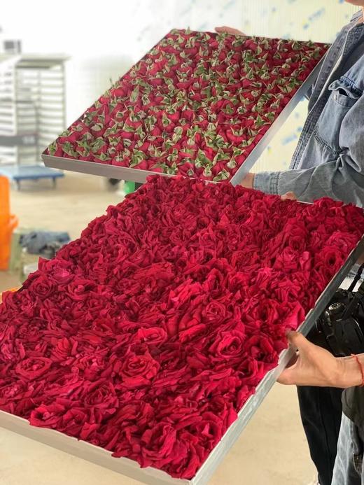 整朵墨红玫瑰 80g/罐 一朵泡一杯 喝出红润好气色 商品图8