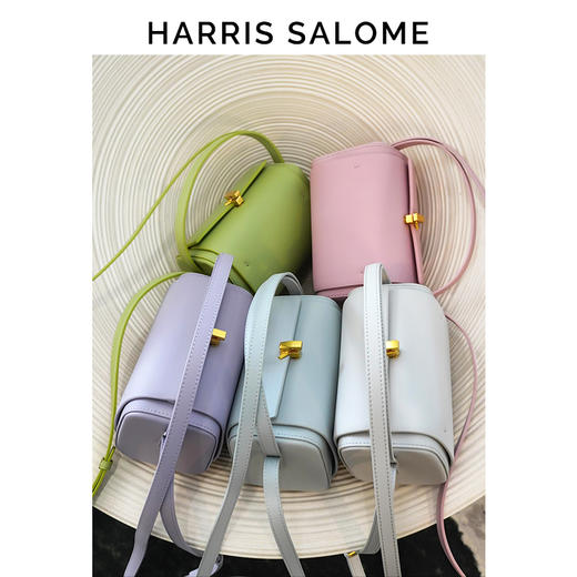 Harris Salome枕头包简约手提斜挎包 商品图1