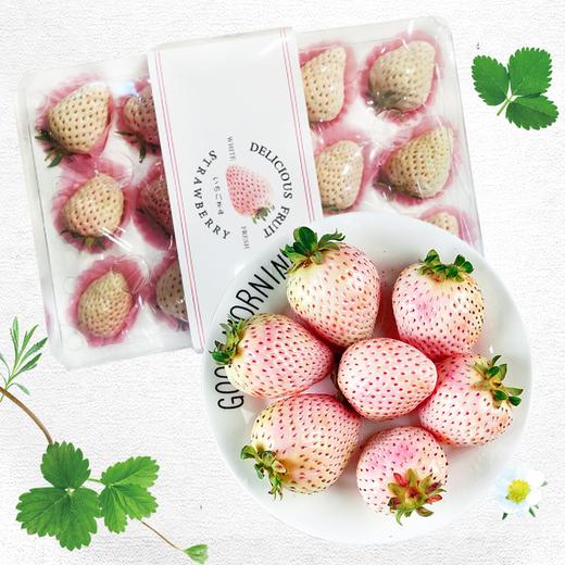 秒杀-淡雪白草莓/盒 商品图0