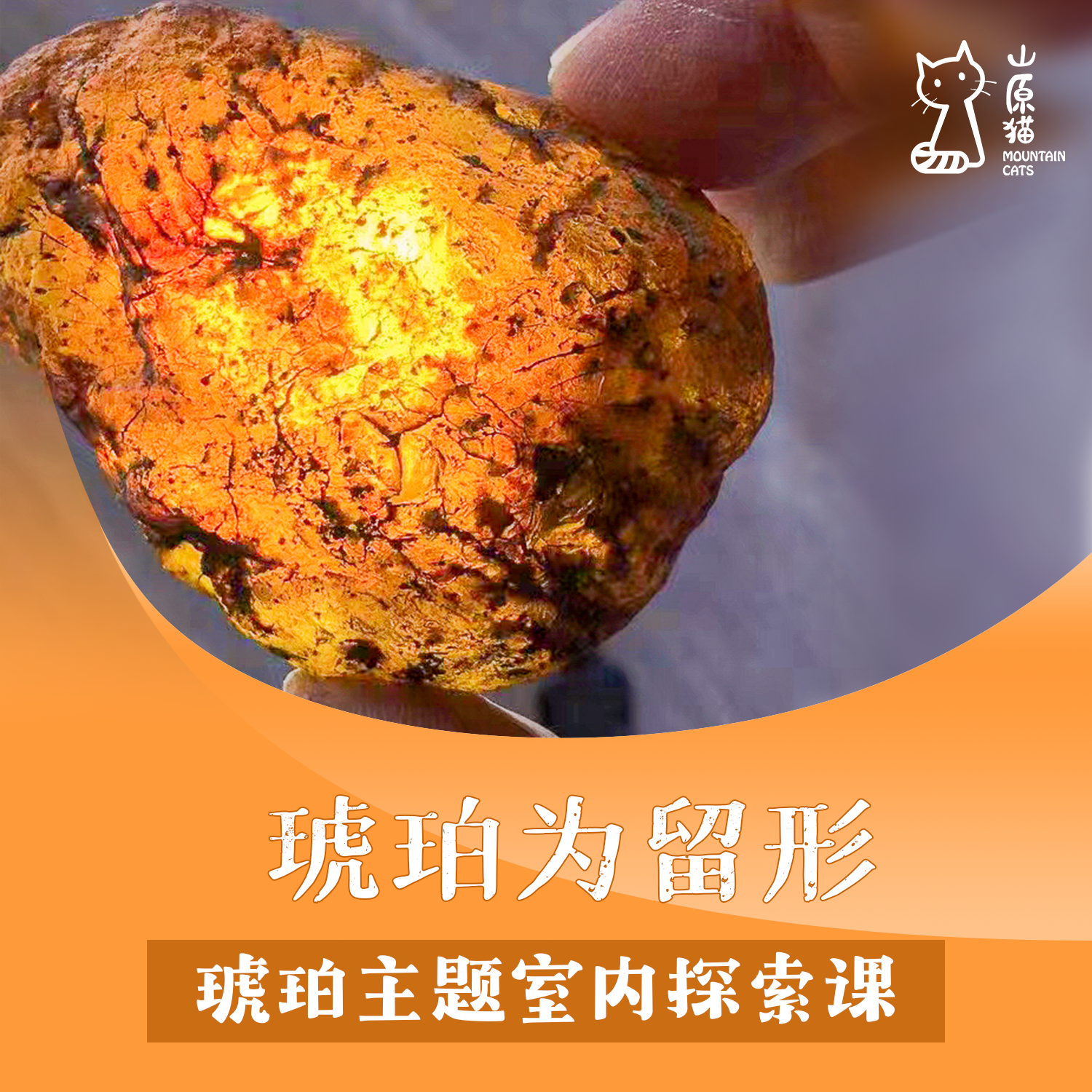 【04月25日·周六上午·室内单飞营】 琥珀为留形 · 琥珀主题室内探索课