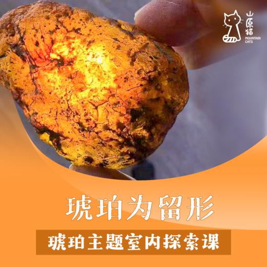 【04月25日·周六上午·室内单飞营】 琥珀为留形 · 琥珀主题室内探索课 商品图0