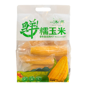 【鲜食黄糯玉米】香糯甜，Q弹香味浓郁，非转基因，东北黄金玉米带核心产区，采摘3小时快速锁鲜加工完成 早餐代餐