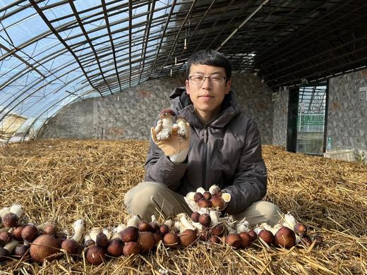 生态蘑菇 商品图1