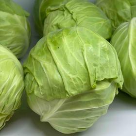 （农夫有庆）京包菜