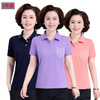 SP-2309夏季POLO短袖女莫代尔棉T恤舒适透气时尚减龄宽松半袖 商品缩略图0