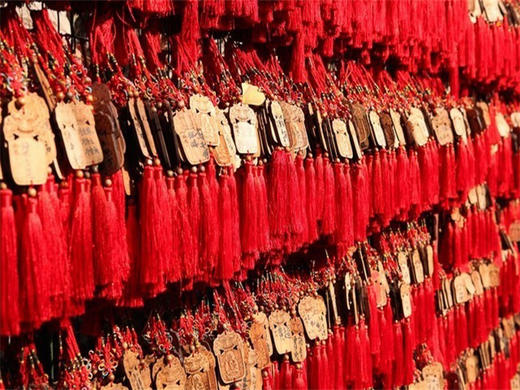 【潭柘寺1日】玉兰花开先有潭柘寺后有北京城の千年古刹-皇家寺院-戒台寺登山步道 商品图3