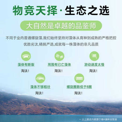 【会员积分专享】绿A螺旋藻精片600粒 免疫调节 辅助降血脂 缓解体力疲劳 耐缺氧 商品图3