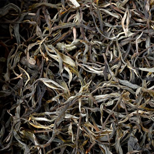 【2024春茶】困鹿山核心产区古树醇料散茶头春茶 商品图1