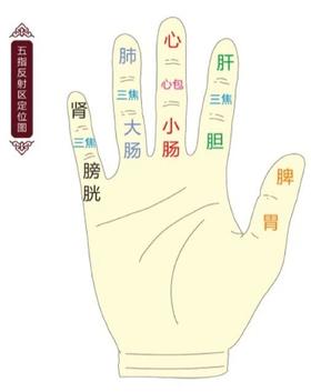 3调节心肝脾胃肾