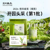 2024贝叶集头采雀舌实心芽清甜花香争先品鉴 商品缩略图0