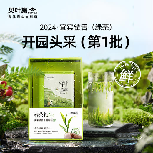 2024贝叶集头采雀舌实心芽清甜花香争先品鉴 商品图0