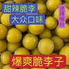 【送辣椒粉，广西特产嘎嘣脆甜味脆李】酸酸甜甜超好吃，酸泡李子酸甜脆李子，三月李水果新鲜芒果桃子腌制酸嘢QQ 商品缩略图3