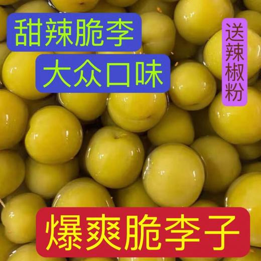 【送辣椒粉，广西特产嘎嘣脆甜味脆李】酸酸甜甜超好吃，酸泡李子酸甜脆李子，三月李水果新鲜芒果桃子腌制酸嘢QQ 商品图3