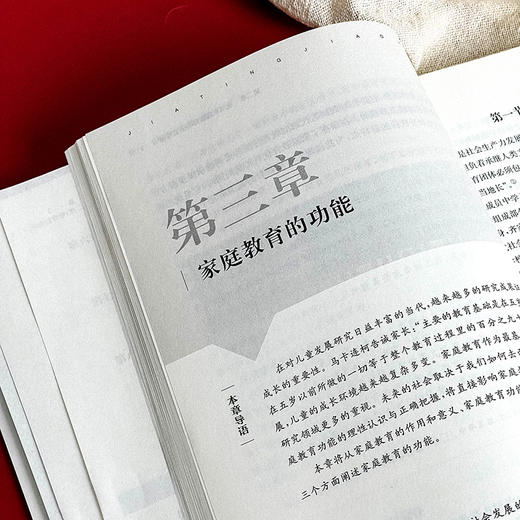 家庭教育学 第二版 教育类专业基础课系列教材 黄河清 商品图8