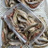 【野生海杂虾】纯正野生海虾，速冻锁鲜，肉质Q弹，营养美味，妈鲜乐广东潮汕海鲜基地发货 商品缩略图6