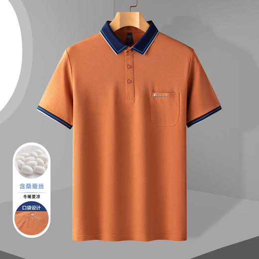 14LP3301【含桑蚕丝】罗蒙男士高周波polo衫男短袖男夏季薄款男士短袖t恤男 商品图2