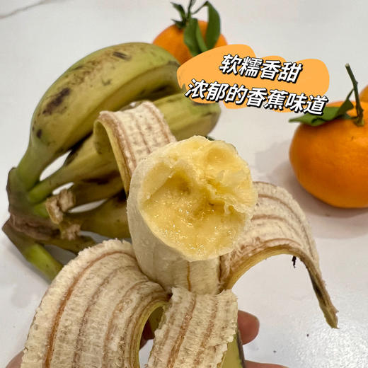【满2件减5元】天宝香蕉 树上自然8成熟无农残不打除草剂不打膨大剂自然生长两干多年种植历史 商品图5