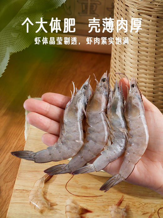 大黄鲜森湛江大虾鲜活速冻白虾类海鲜3040大虾1.5kg/盒 商品图1
