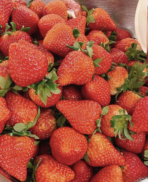 【NEW】春日来信  当鲜奶遇上抹茶和草莓  巨好喝的高颜值小可爱 商品图2