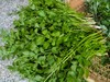 水芹菜（400g） 商品缩略图0