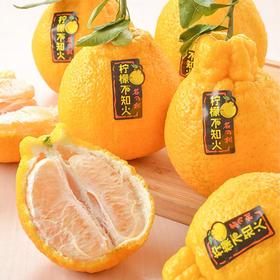 柠檬不知火柑橘 约1kg/份