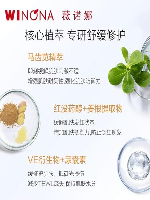 薇诺娜清透防晒乳50g，防紫外线| SPF48/PA+++，脆弱敏感肌肤 面部身体隔离防晒霜  户外军训海边旅行 商品图2