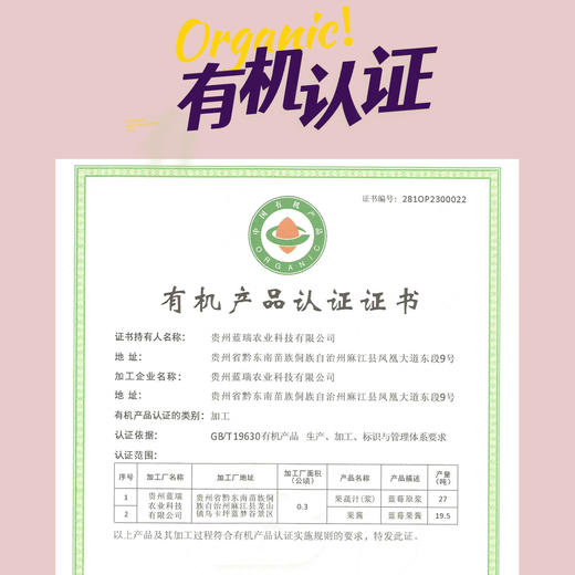 一口50颗有机蓝莓100% 純原漿   蓝笑 贵州麻江 蓝莓原漿 450ml/袋(30mlx15包) 商品图2