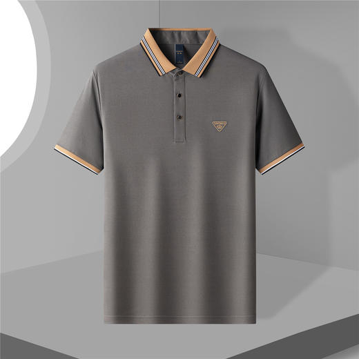 14LP3306【含桑蚕丝】罗蒙夏季男士时尚t恤短袖polo衫亲肤polo衫男短袖 商品图3