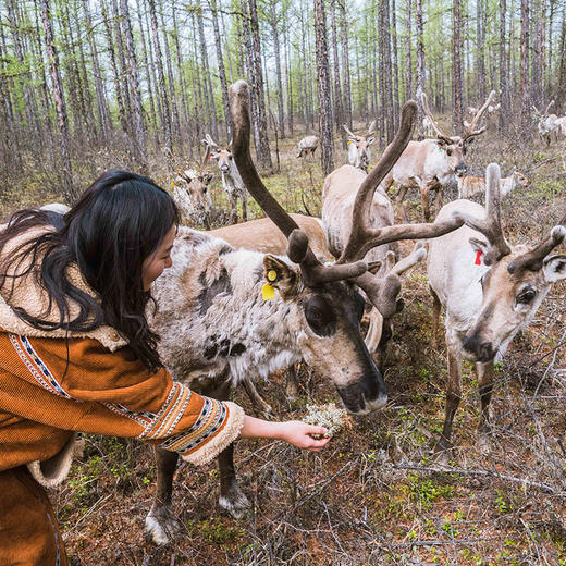 繁星牧场丨内蒙古·呼伦贝尔6天5晚【go小团】 商品图3