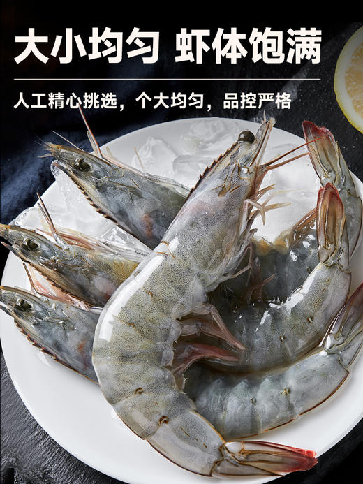 大黄鲜森湛江大虾鲜活速冻白虾类海鲜3040大虾1.5kg/盒 商品图0