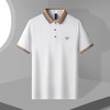 14LP3306【含桑蚕丝】罗蒙夏季男士时尚t恤短袖polo衫亲肤polo衫男短袖 商品缩略图1