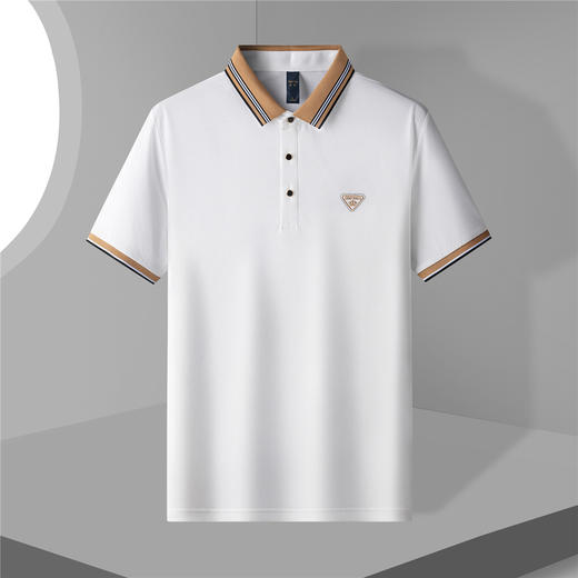 14LP3306【含桑蚕丝】罗蒙夏季男士时尚t恤短袖polo衫亲肤polo衫男短袖 商品图1