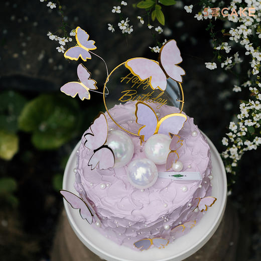 【蝶舞】蓝莓芒果 商品图1