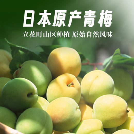 【宁波保税仓直发】西吉田梅酒12度 商品图1