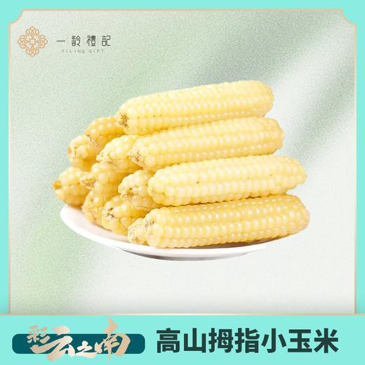 【季卡】储值好礼3选1 商品图2