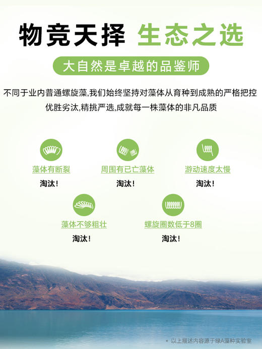 绿A儿童螺旋藻片 0.25g*150粒 补充营养 专为儿童定制 商品图2