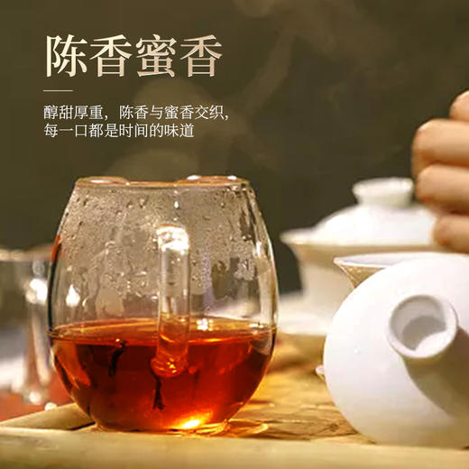 勐乐山普洱2024年朱雀生茶357g 商品图3